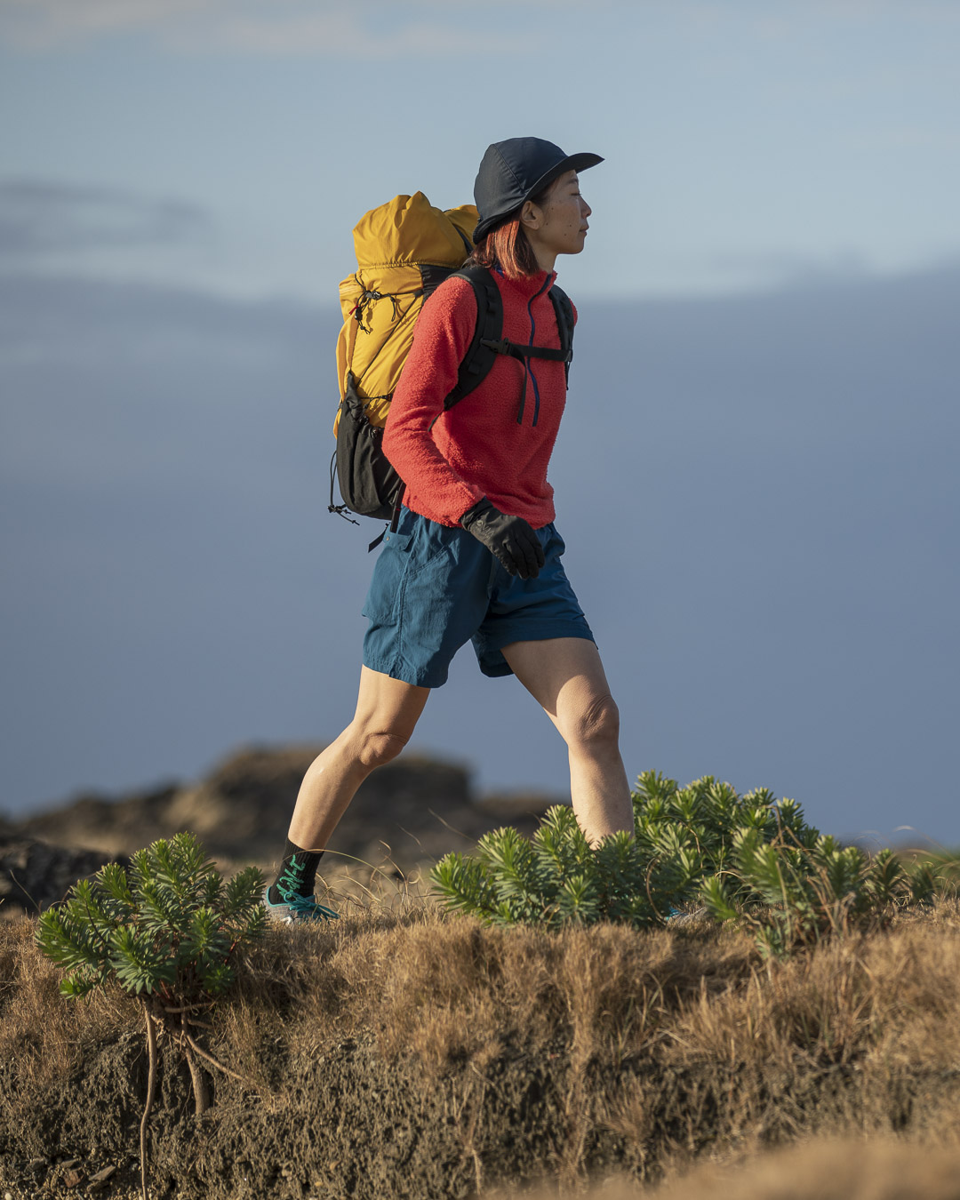 DW 5-Pocket Shorts | 山と道 U.L. HIKE & BACKPACKING